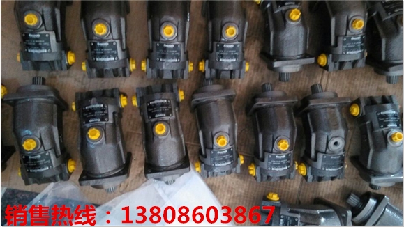 云南保山市：聯(lián)軸器D31FHB61C4NB00